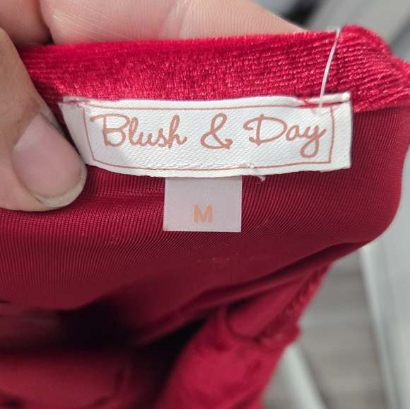 Blush & Day Red Velvet Mini Dress Sz Medium NWT - Picture 2 of 10